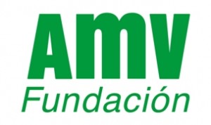 Fundación AMV