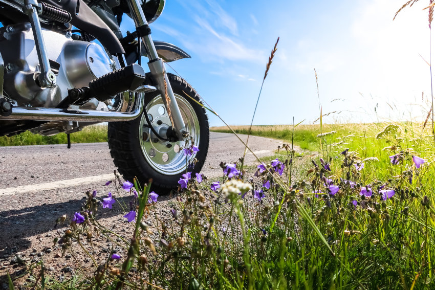 Vista de la rueda de una moto en una carretera en curva con flores a los márgenes del arcén