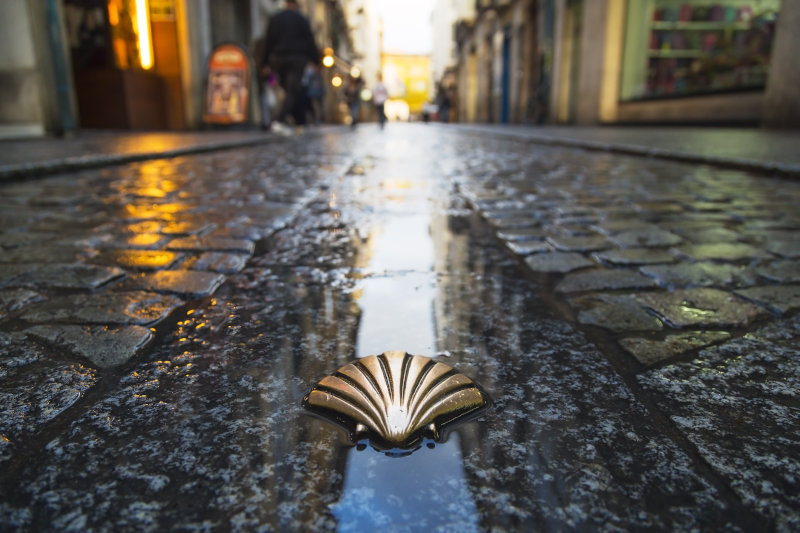 símbolo del camino de Santiago en una calle de Burgos